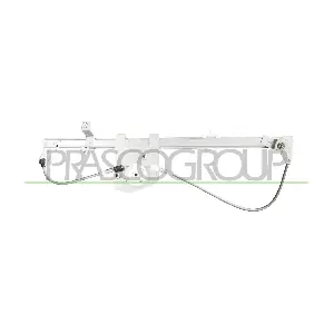 CI954W011 PRASCO