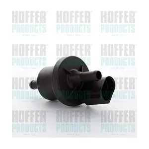 8029367 HOFFER