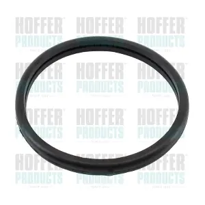 01673 HOFFER