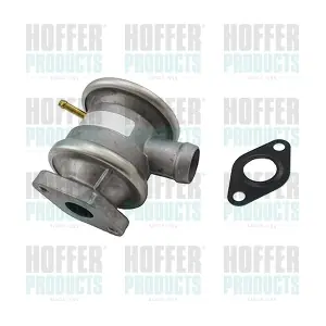 8029651 HOFFER