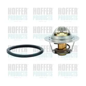 8192242 HOFFER