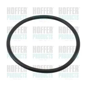 01663 HOFFER
