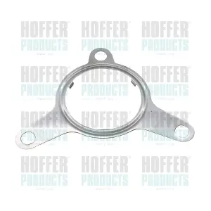016123 HOFFER