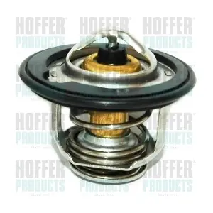 8192183 HOFFER
