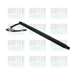 H301019 HOFFER