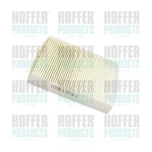 17338 HOFFER