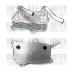 8095020 HOFFER