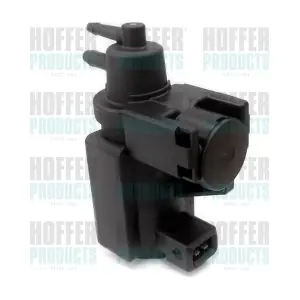 8029085 HOFFER