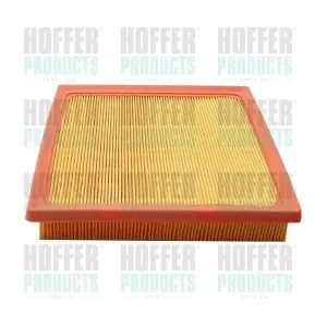 18663 HOFFER