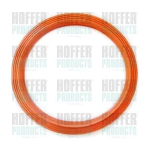 GSK09 HOFFER