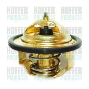 8192356 HOFFER