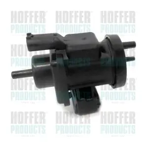 8029343 HOFFER