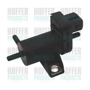 8029247 HOFFER