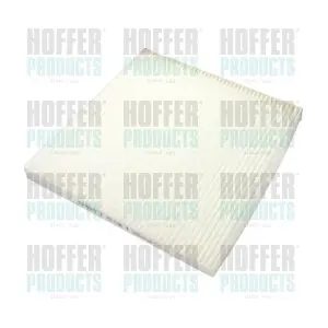 17403 HOFFER