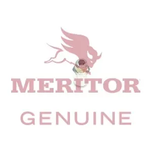 21223797 MERITOR