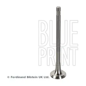 ADBP610134 BLUE PRINT