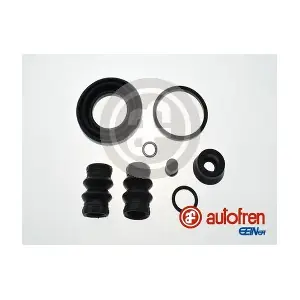 D42666 AUTOFREN SEINSA