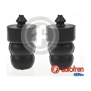 D5145 AUTOFREN SEINSA