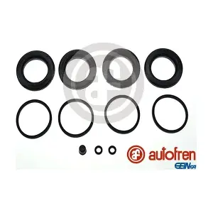 D42621 AUTOFREN SEINSA