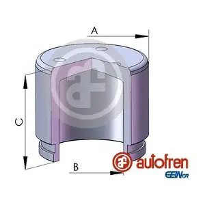 D025806 AUTOFREN SEINSA