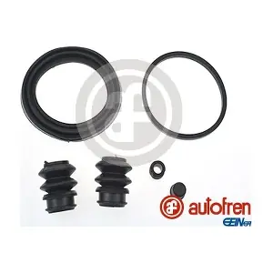 D42010 AUTOFREN SEINSA