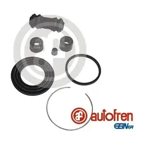 D4248 AUTOFREN SEINSA