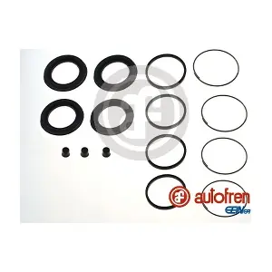 D4276 AUTOFREN SEINSA