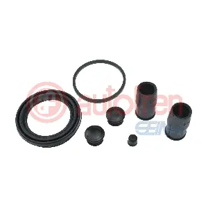 D43142 AUTOFREN SEINSA