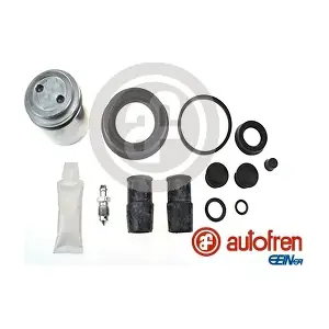 D42452C AUTOFREN SEINSA