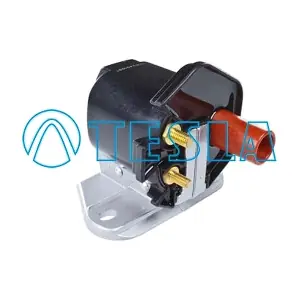 0040100296 BorgWarner (BERU)