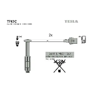 T 743 C TESLA