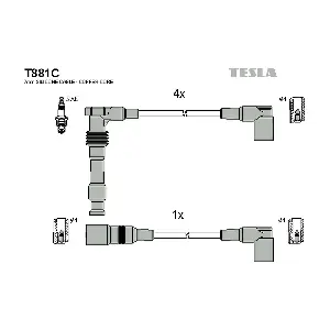 T881C TESLA