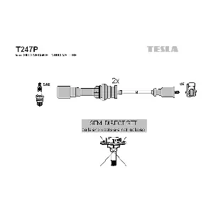 T247P TESLA