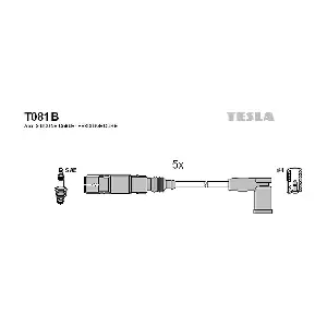 T081B TESLA