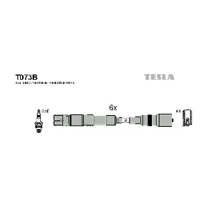 T073B TESLA