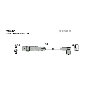 T674C TESLA