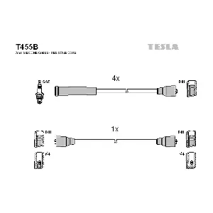 T455B TESLA