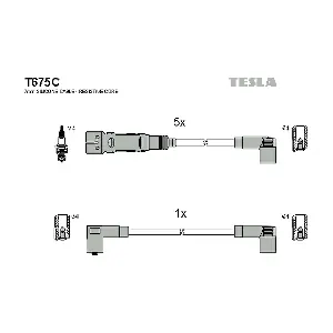 T675C TESLA