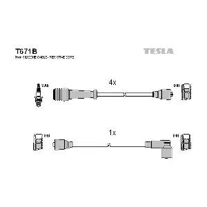 T671B TESLA