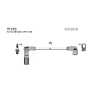 T177C TESLA