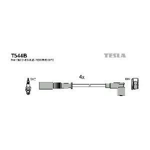 T544B TESLA