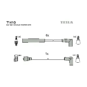 T141G TESLA