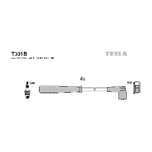 T301B TESLA