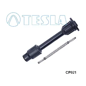 CP021 TESLA