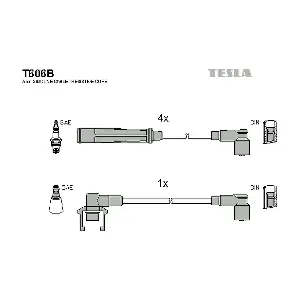 T606B TESLA