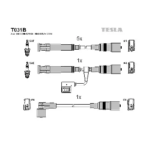T031B TESLA