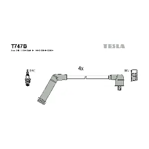 T747B TESLA