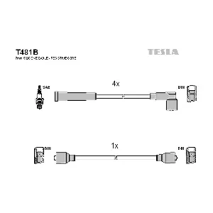 T481B TESLA