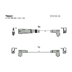 T865C TESLA