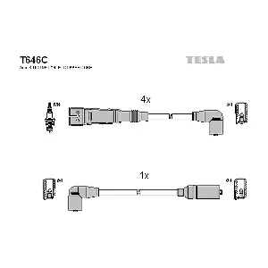 T646C TESLA
